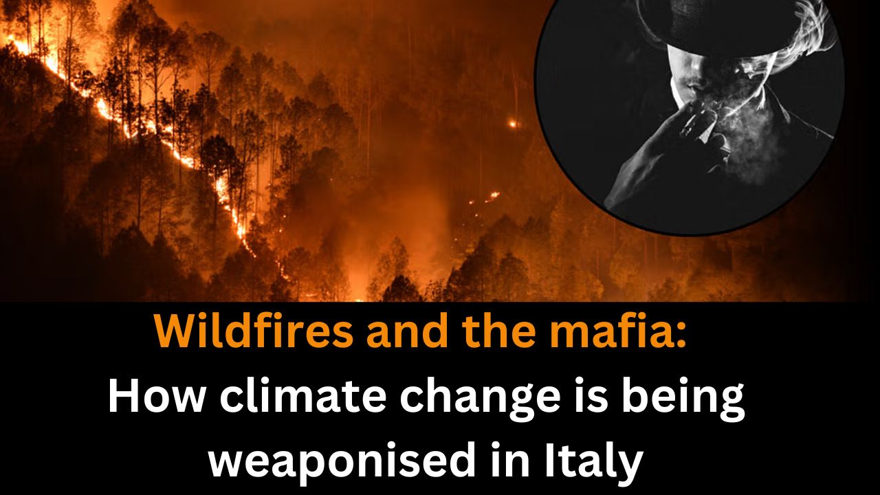 Wildfires and the mafia: How climate change is being weaponised in Italy